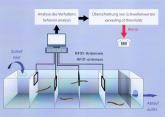 Schema des Aufbaus eines MIGROMAT®