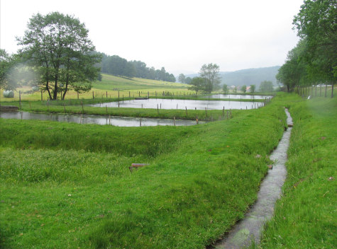 Teichanlage in der Fischereiwirtschaft Teichanlage in der Fischereiwirtschaft