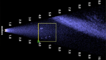 Shoal of fish the ultra sound beam of the DIDSON™