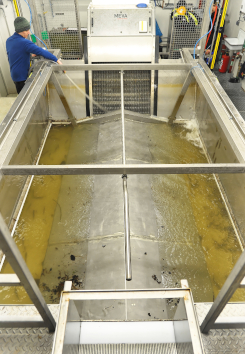 Fish sorting unit